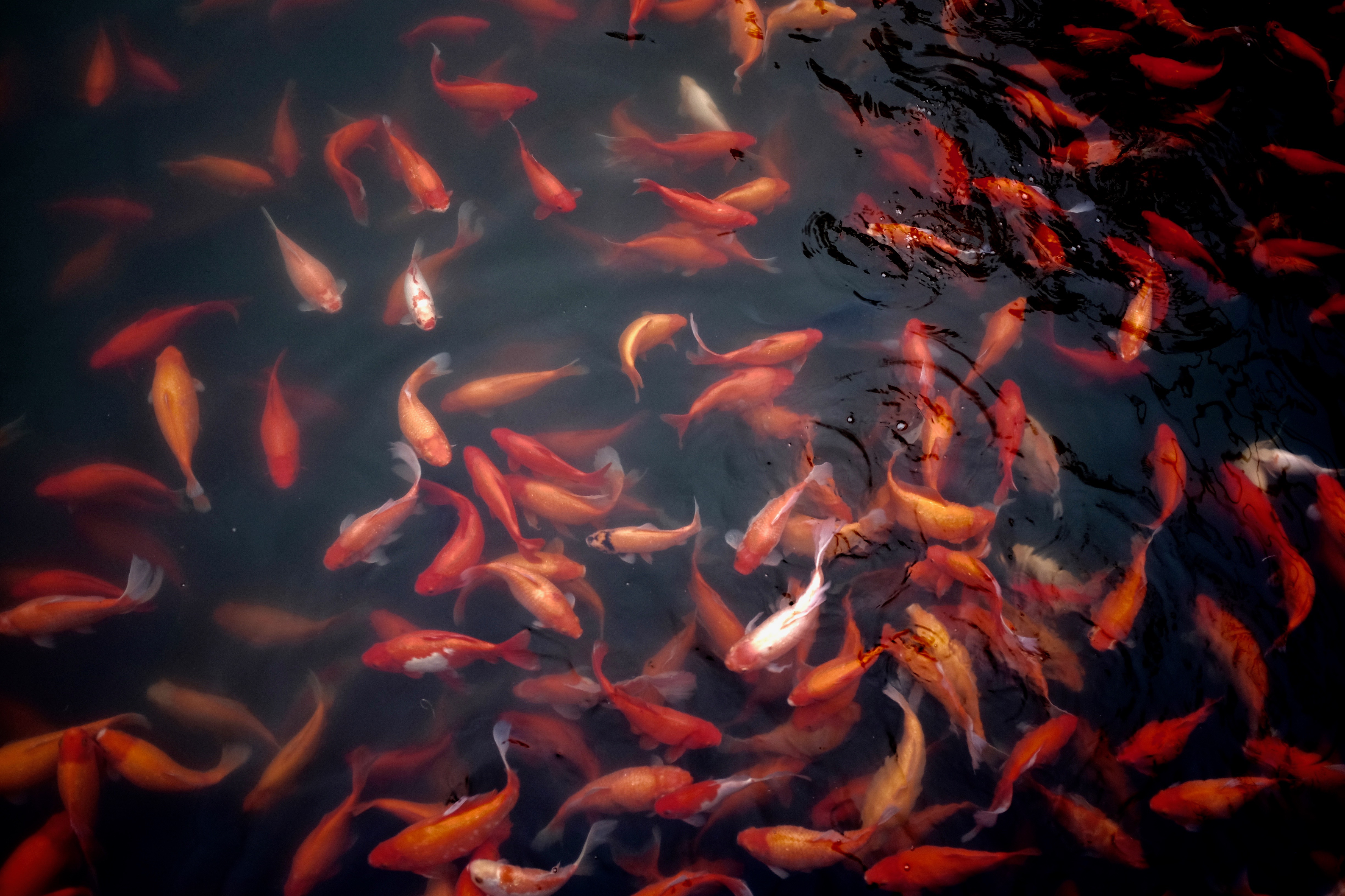 West Lake in Hangzhou