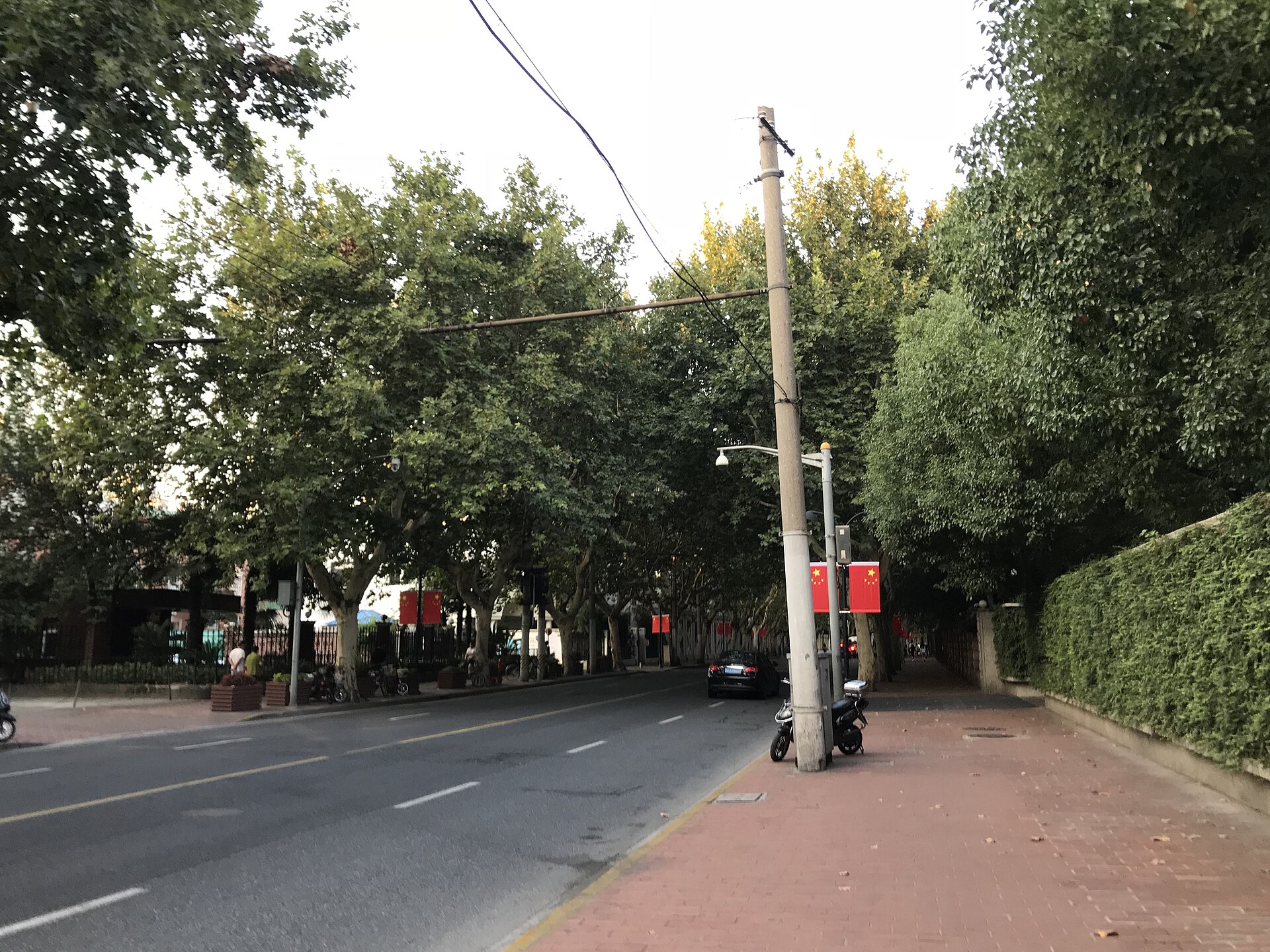 Tree-lined street in Shanghai's former French Concession