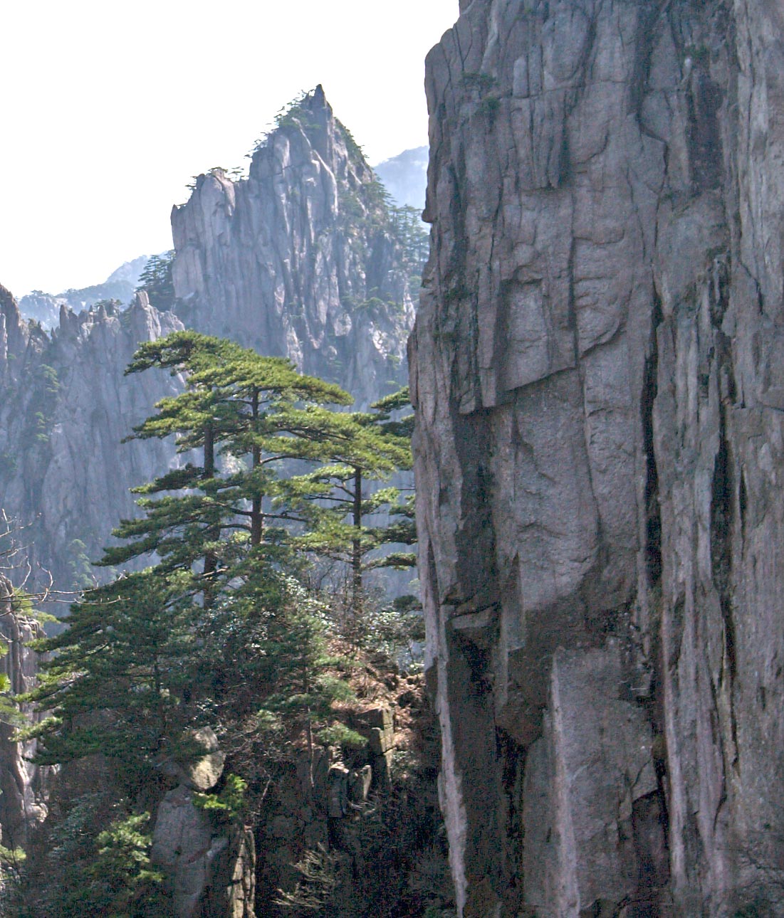 Yellow Mountain