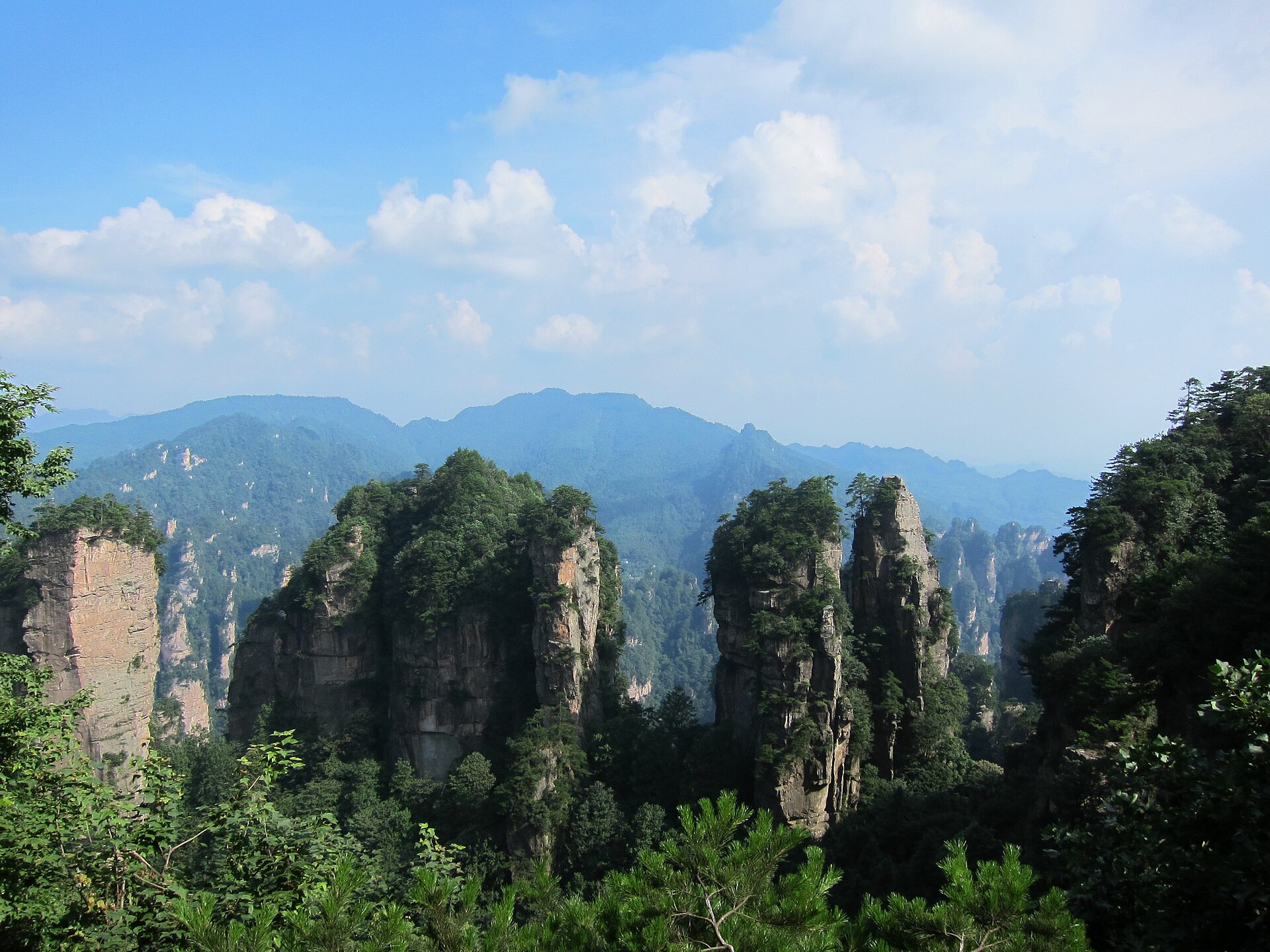 Forest scenery in Zhangjiajie